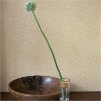 Morris &amp; Co. behang William Morris Compilation 1 - Standen - nSfeer