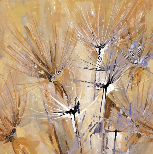 Texam Home - Raw - rwd12