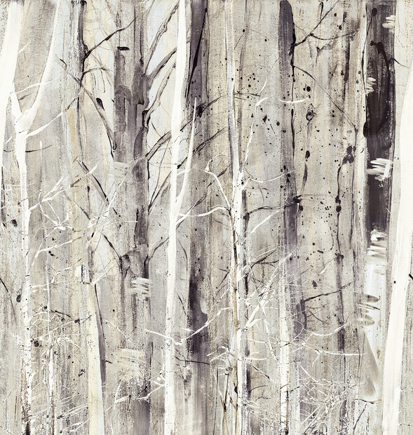 Texam Home Forest Walk Behang rwd25