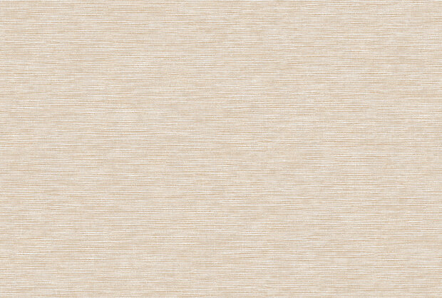 Texam-Home-Raw-Buckram-rw503