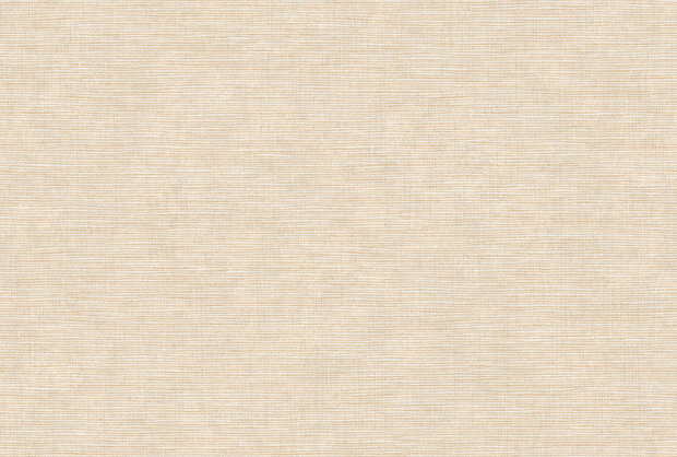 Texam-Home-Raw-Buckram-rw504