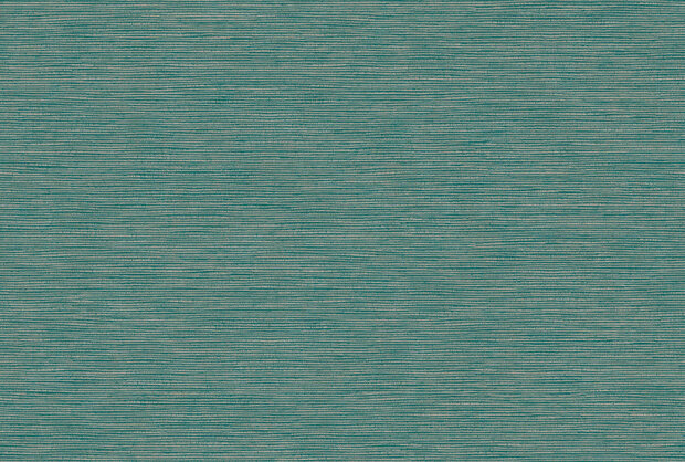 Texam-Home-Raw-Buckram-rw508