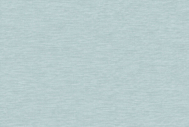 Texam-Home-Raw-Buckram-rw509