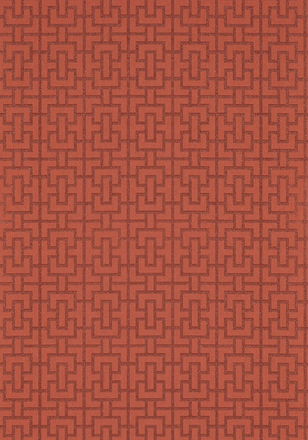 Anna-French-Small-Scale-Bridle-AT79121