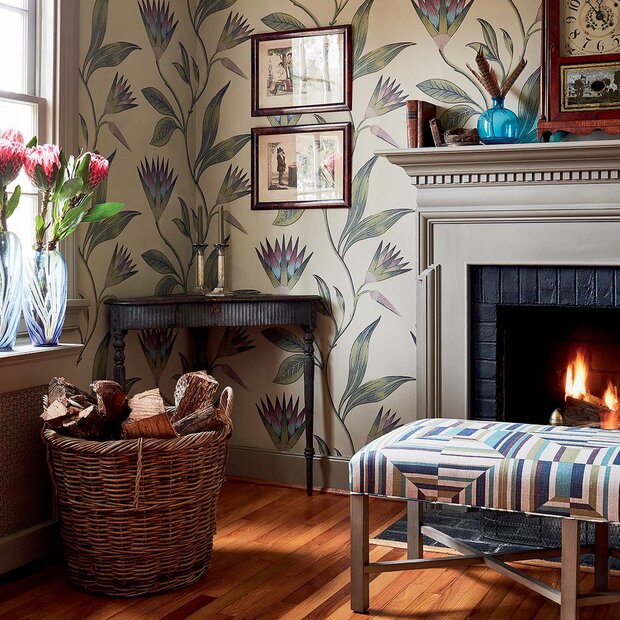 Anna-French-Savoy-Cleo_Vine-AT9616