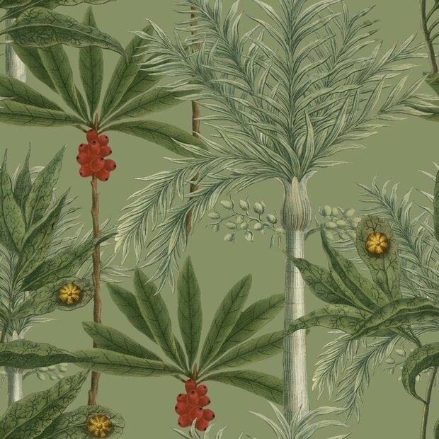 Mind the Gap Madagascar behang