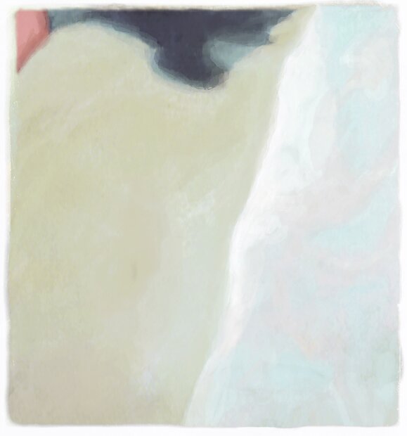 ELITIS Big Sur Behang Paneel TP_316_01 Initation collectie