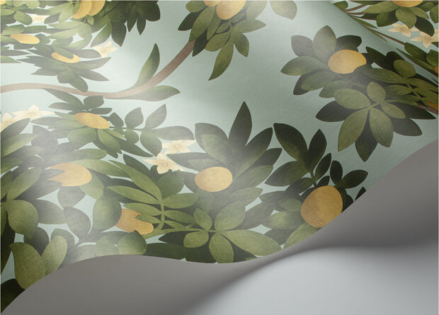 Cole and Son Orange Blossom behang 117-1002 Seville behang collectie
