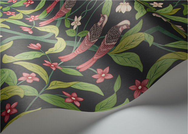 Cole and Son Jasmine &amp; Serin Symphony Behang