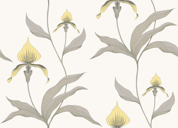 cole and son orchid behang 95/10057 behang never will i ever behang netflix