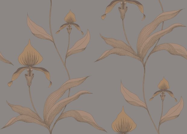 cole and son orchid behang 95/10056 behang never will i ever behang netflix detail