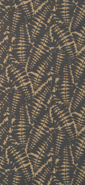 Pierre Frey Behang FP347004