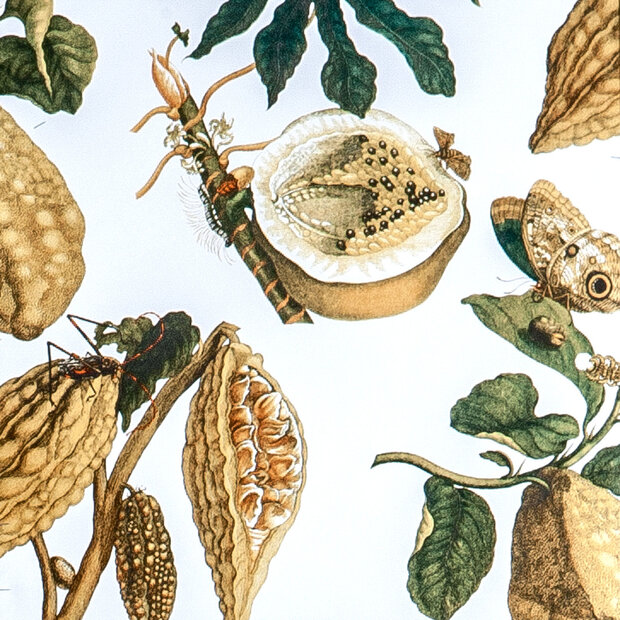 amazonia behang gaston y daniela luxury by nature 3