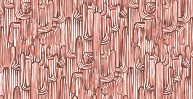 Pierre Frey Sonora Behang FP479004 