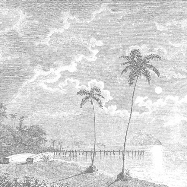 Les Dominotiers Palmar Behang