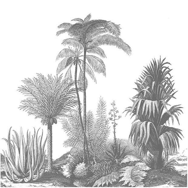 Les Dominotiers Aloes Behang