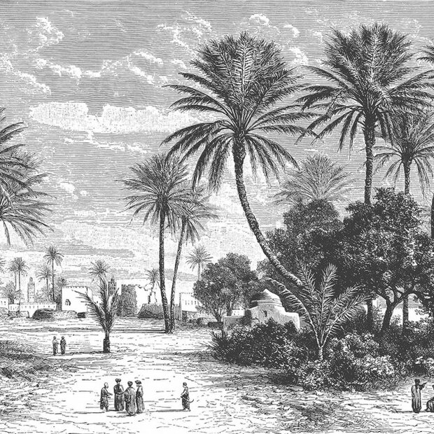 Les Dominotiers Oasis Behang