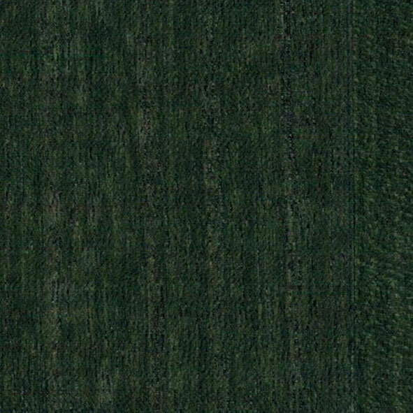 Greenland Paulownia Behang