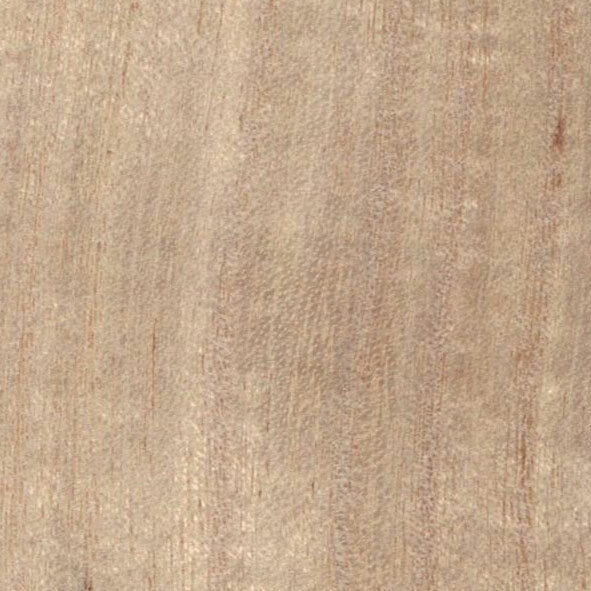 Greenland Paulownia Behang