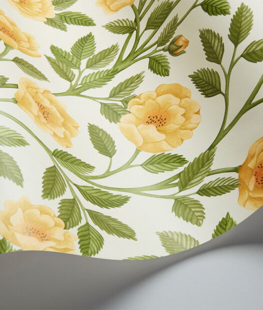 Cole and Son Hampton Roses Behang