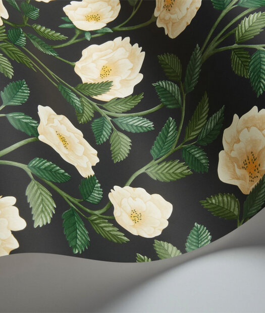 Cole and Son Hampton Roses Behang