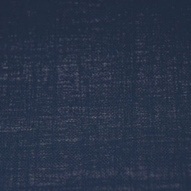 ELITIS Cristal Behang RM_605_49