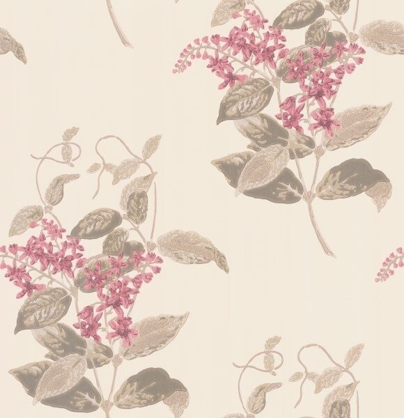 behang cole and son madras violet  58
