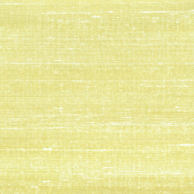 ELITIS Kosa Silk Behang 20 VP_928_20