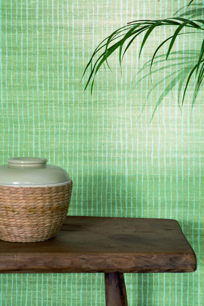 ELITIS Nila Behang Soie Changeante Collectie