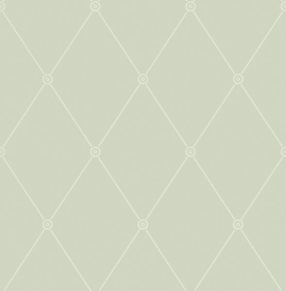 behang cole and son archive anthology large georgian rope trellis duck egg