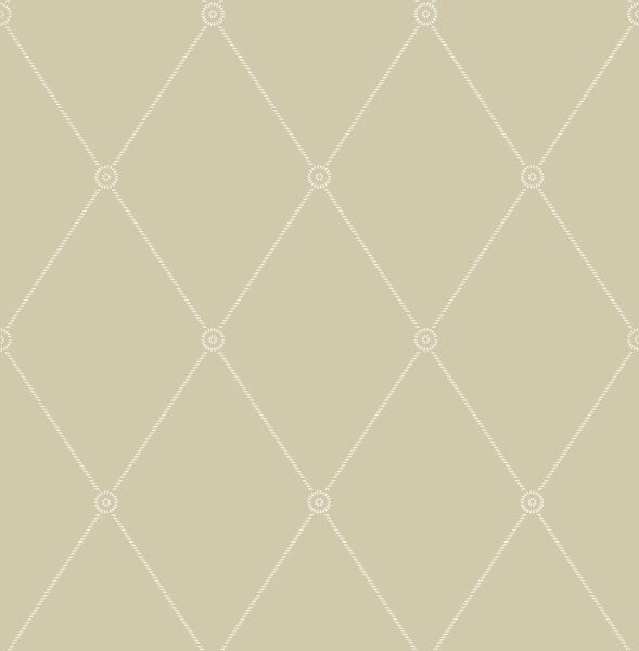 behang cole and son archive anthology large georgian rope trellis