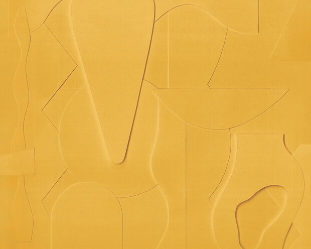 Aster&eacute; Jeu D&#039;Ombres Behang 06 AST_NT_023_06