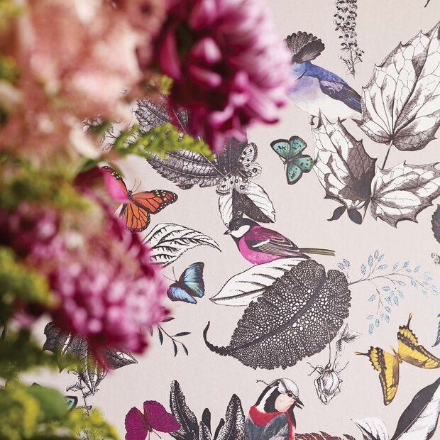 behang osborne and little bird-song-osborne-and-little behangpapier 1