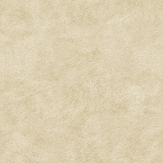 Imdomptee behang Elitis VP-617-01