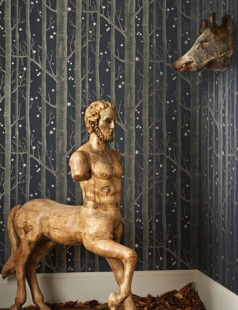 behang cole son woods and stars whimsical sfeer