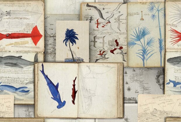 Mind the Gap Seaman&#039;s Journal Behang WP20562