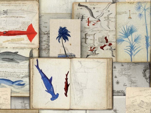 Mind the Gap Seaman&#039;s Journal Behang WP20562