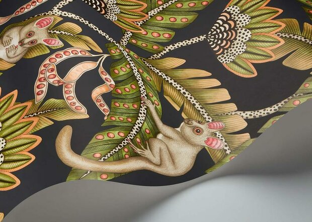 Cole and Son Bush Baby Behang - Black