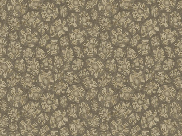 Cole and Son Savanna Shell Behang Cole and Son Ardmore Jabula Behang Collectie S119/4020