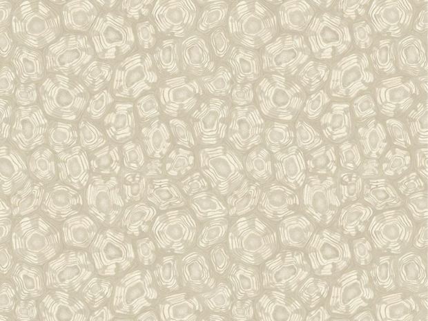 Cole and Son Savanna Shell Behang Cole and Son Ardmore Jabula Behang Collectie S119/4021