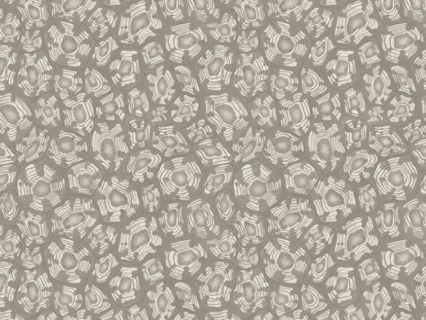 Cole and Son Savanna Shell Behang Cole and Son Ardmore Jabula Behang Collectie S119/4022