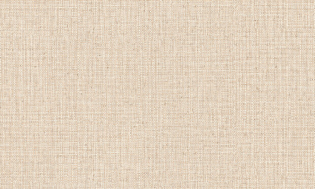 ARTE Nongo behang 49510