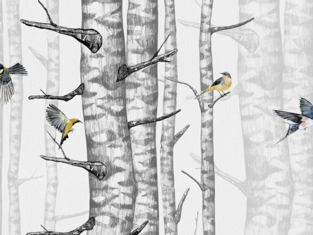 Coordonne Birch Trees Behang 9500040