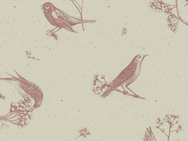 Coordonne Sweet Birds Behang 9500070