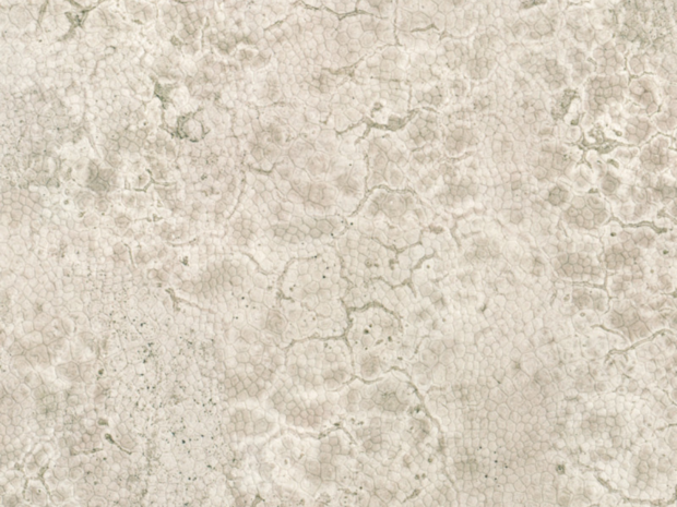 Nobilis Moon Behang DPN22