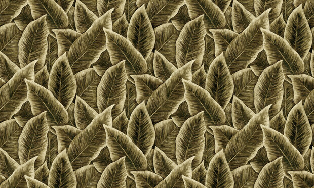 ARTE Bird of Paradise Behang 97571