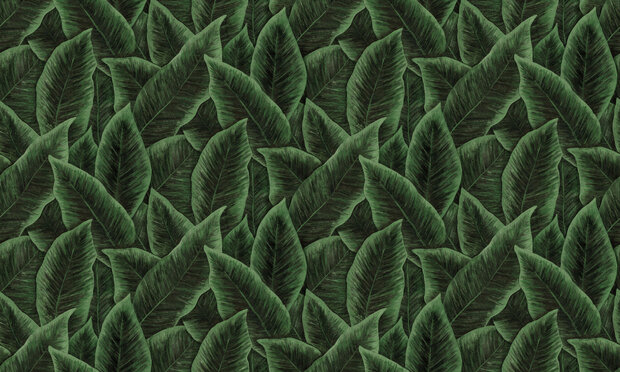 ARTE Bird of Paradise Behang 97572