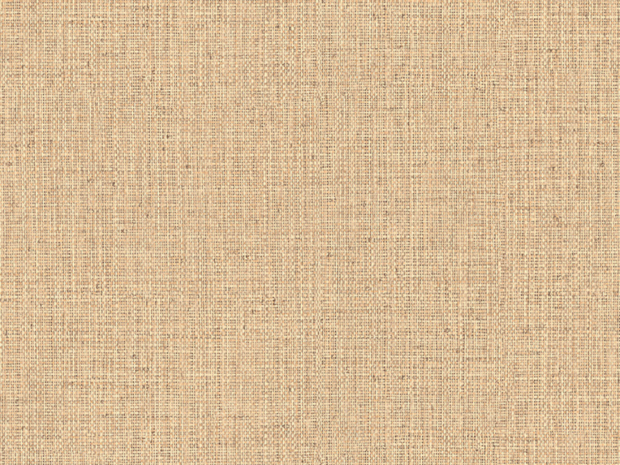 ARTE Nongo behang 49511