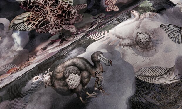 Moooi behang Memento Moooi Medley behang 