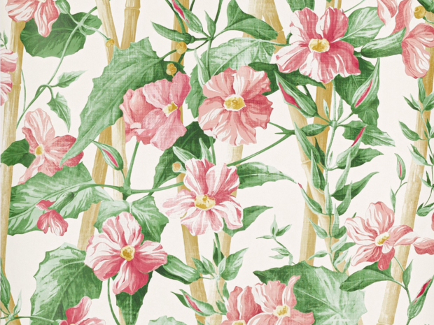 Manuel Canovas Elena Behang 03114-01